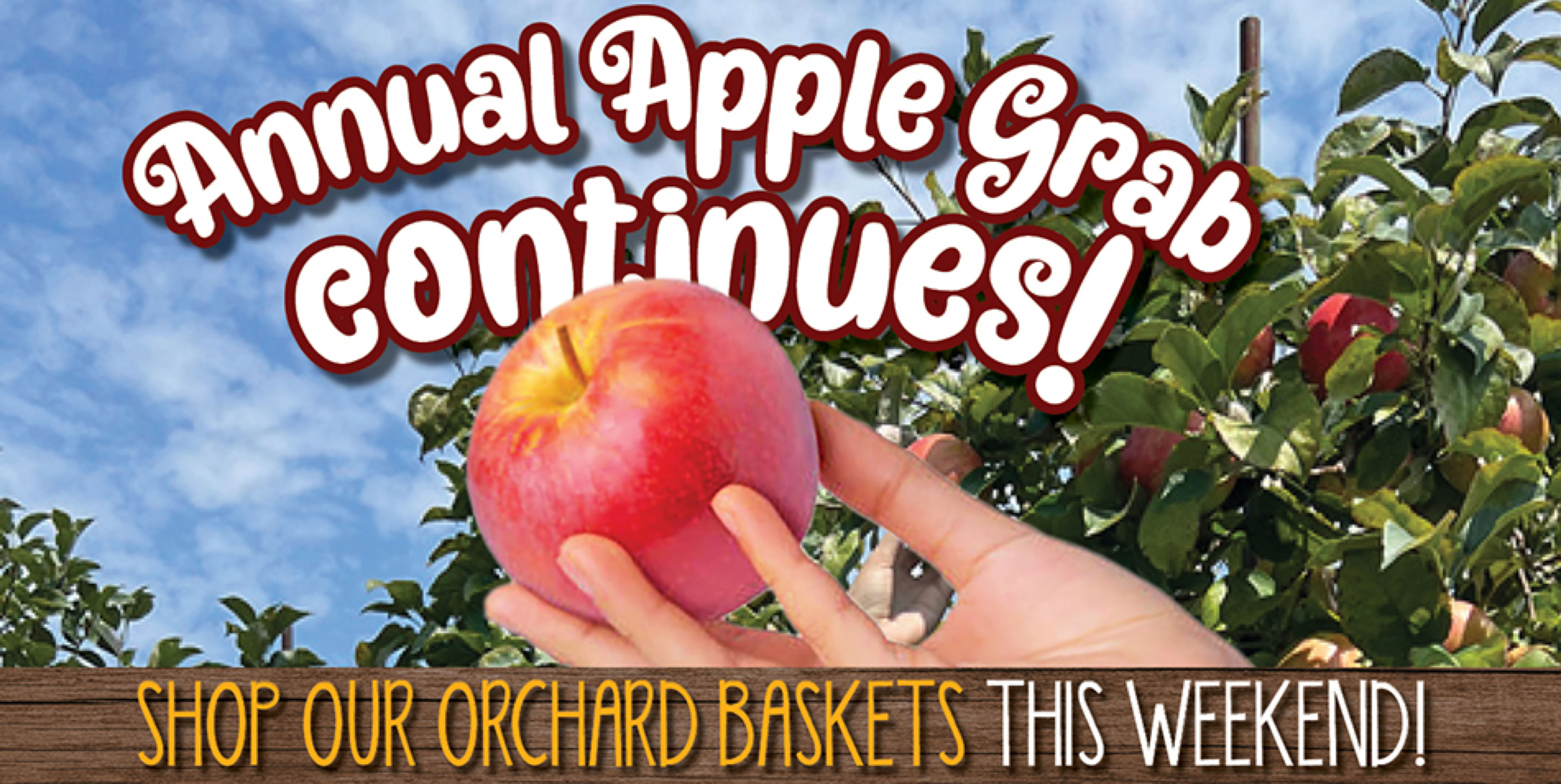 Gala Apples Now Picking at Triple B