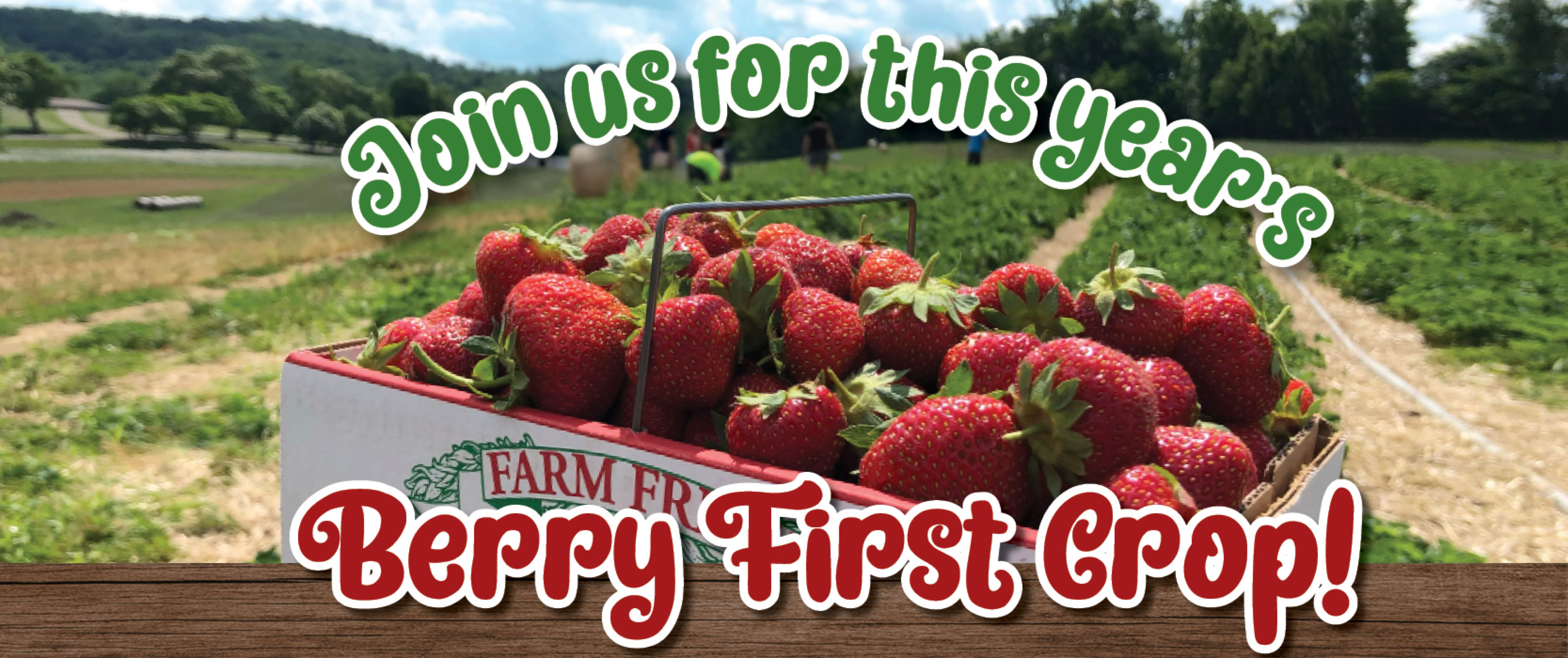 Triple B Farm Strawberries Start in June.