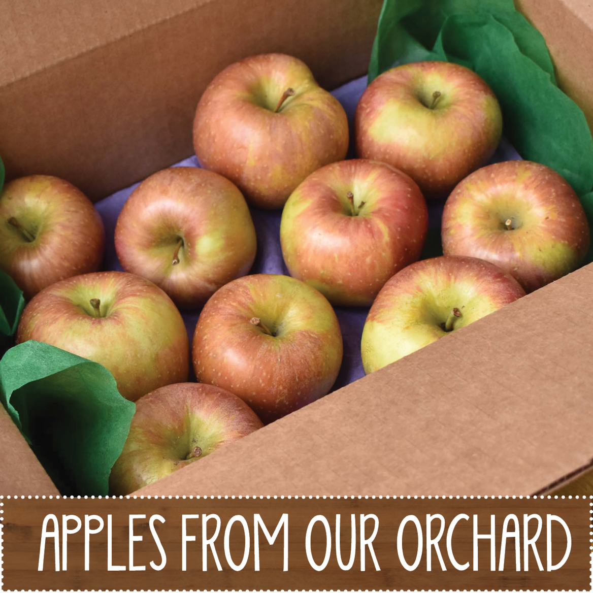 A cardboard box filled with red and green apples, with green tissue paper, and a label reading "Apples from Our Orchard."