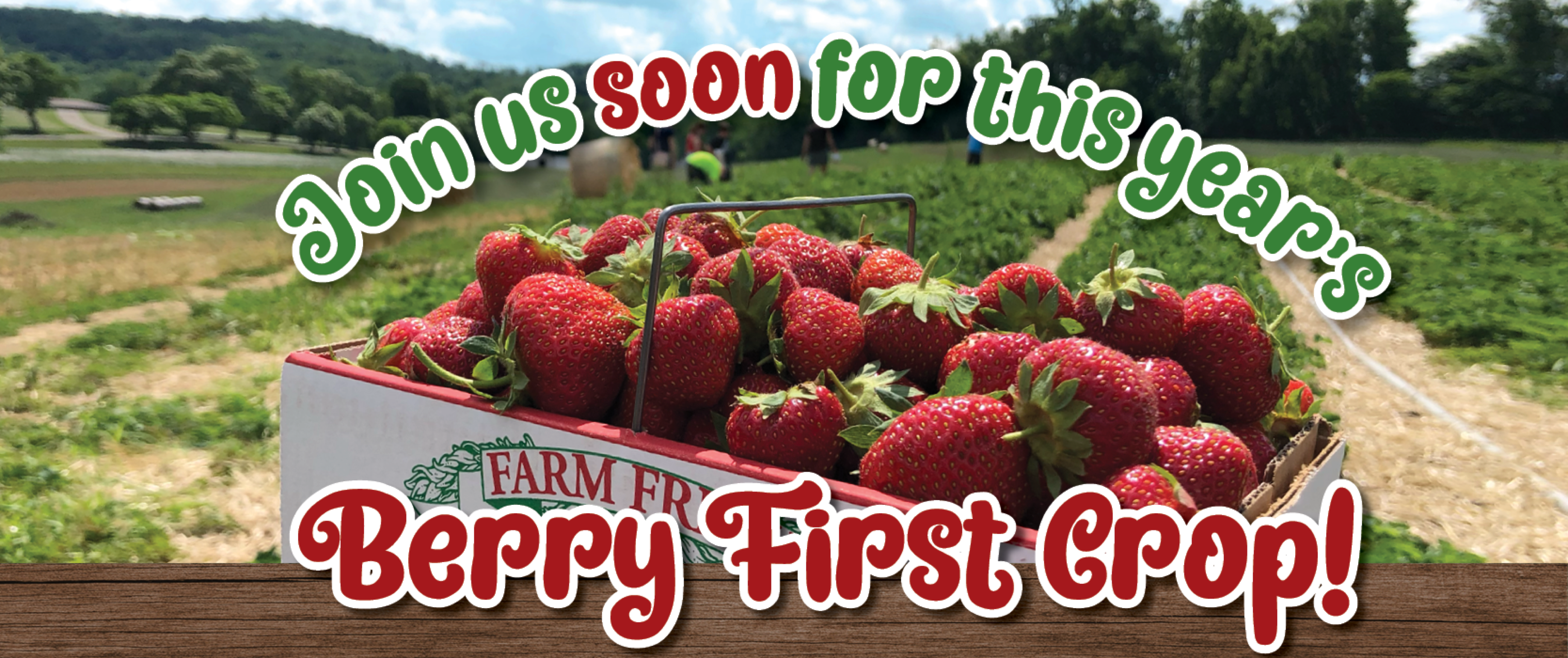 Triple B Farm Strawberries Start in June.