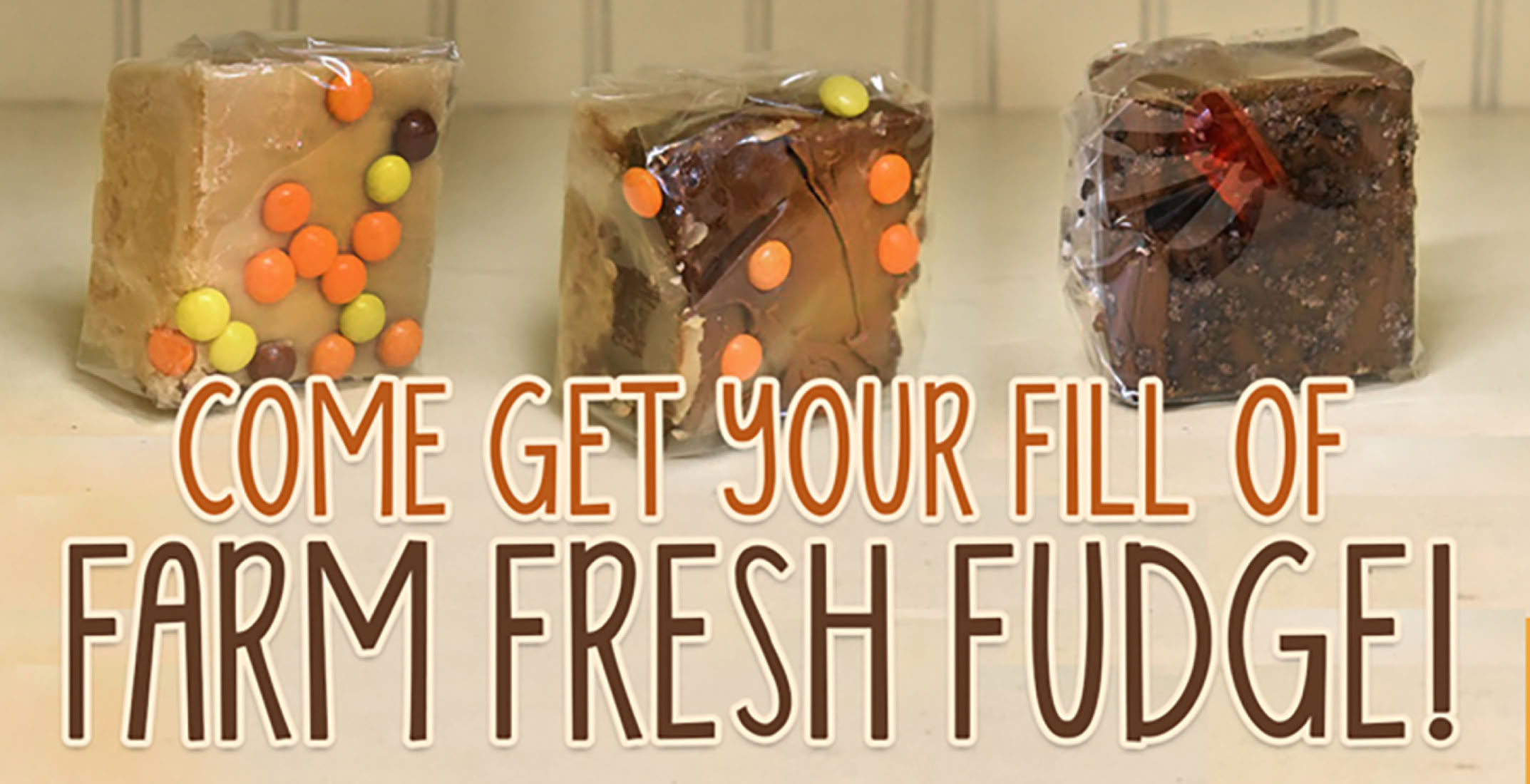Triple B Farm Fresh Fudge for delivery